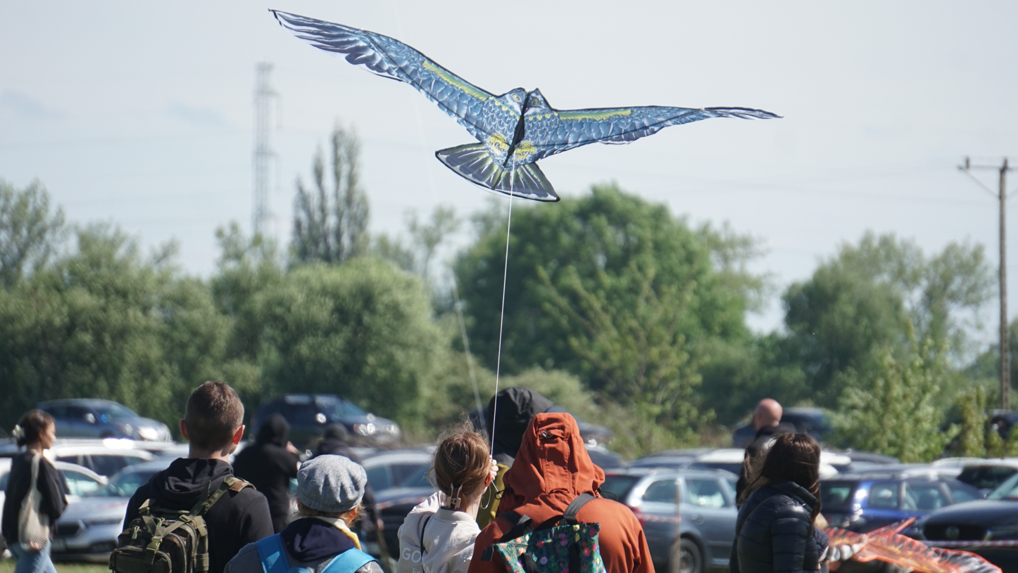 latawiec wznoszący się nad widownią podczas pikniku lotniczego